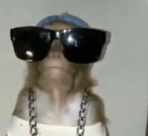 Himothy🕶️ tweet media