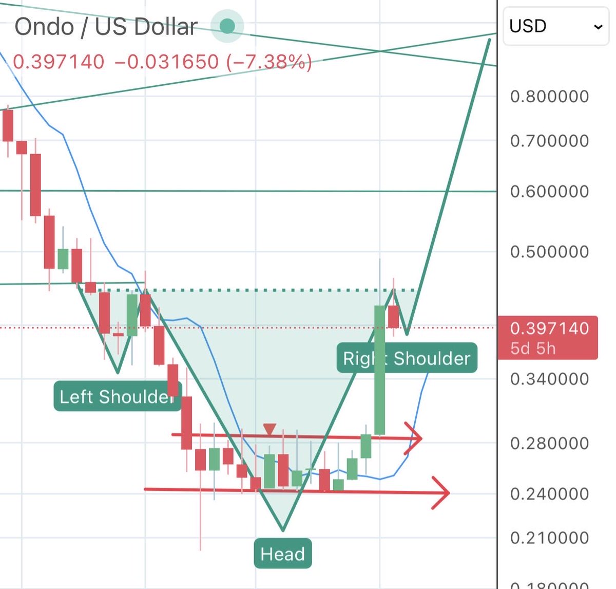 wildly bullish tweet media