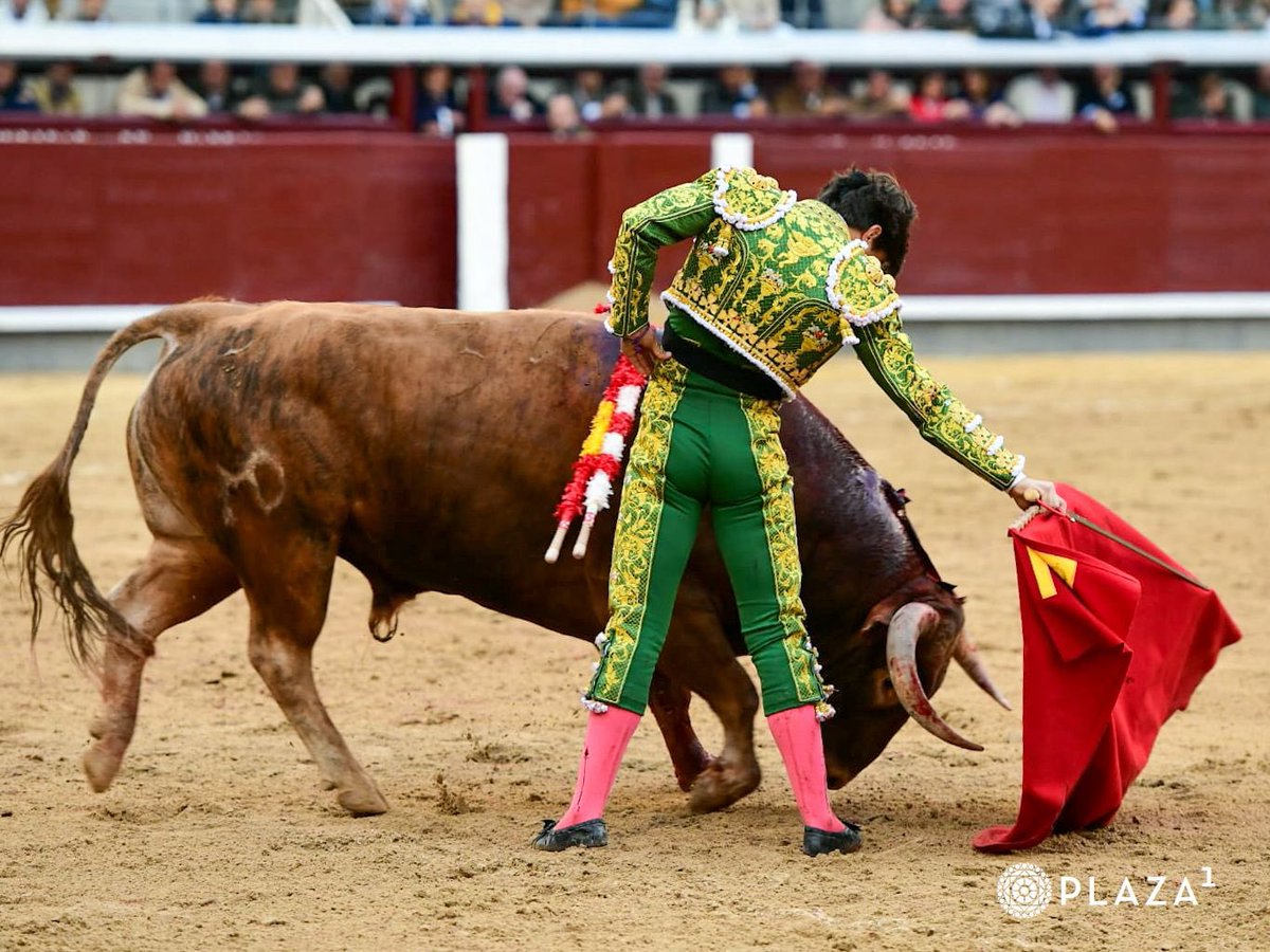 Plaza de Las Ventas tweet media