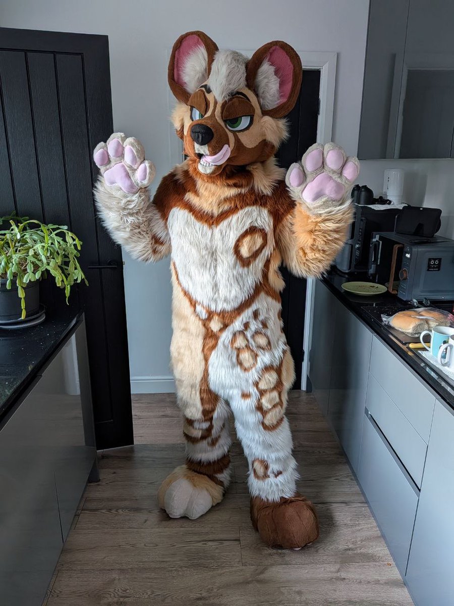 Solo AWD/ Ruki Fox 🔜 CFz tweet media
