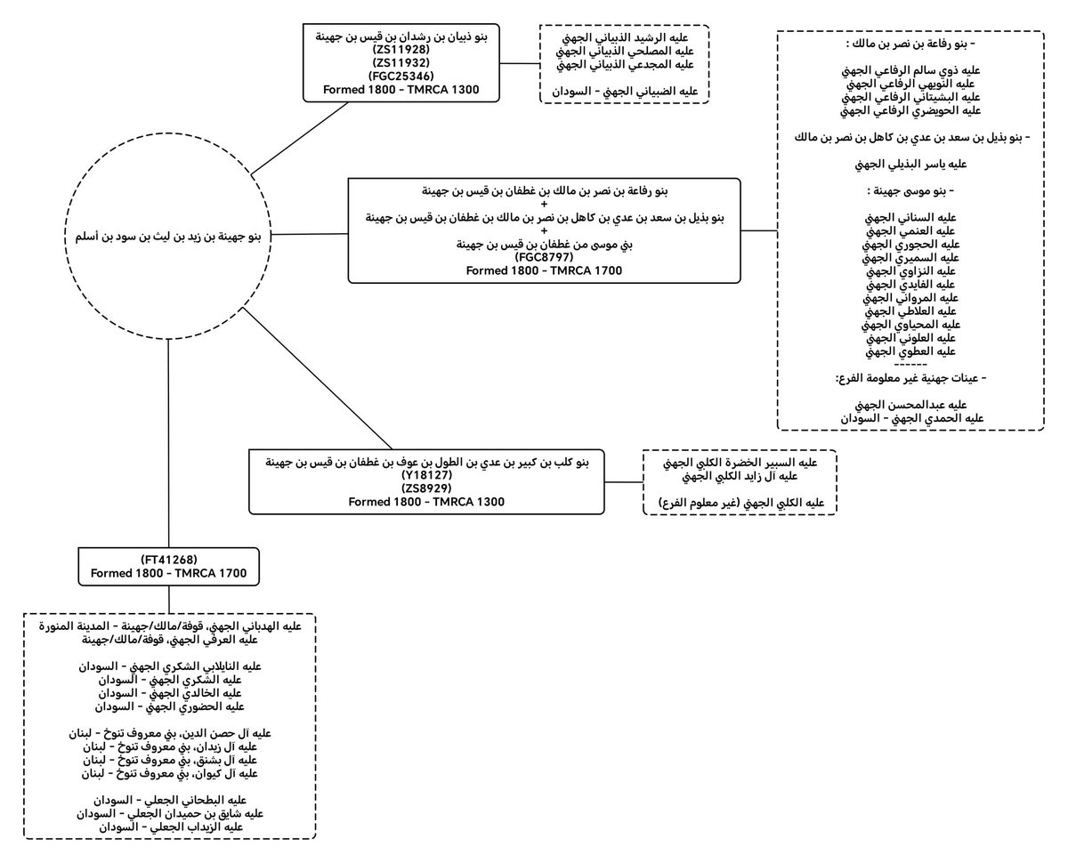 سهيل ☆ tweet media