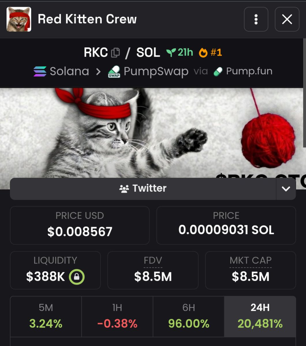 Xola.eth tweet media