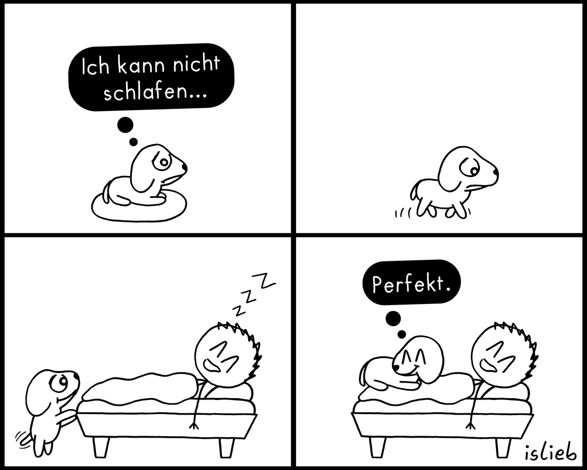 islieb? tweet media