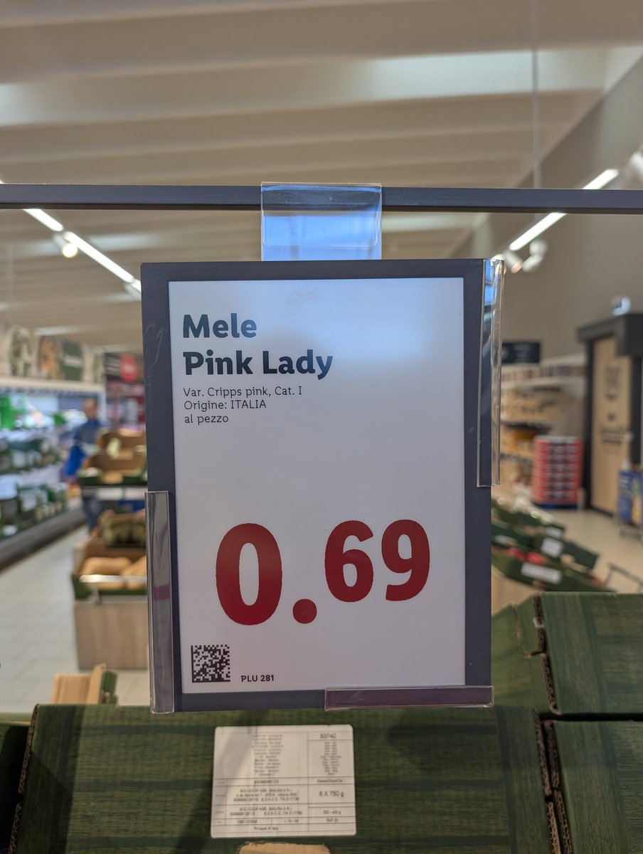 ωєвмαякєтнιик tweet media