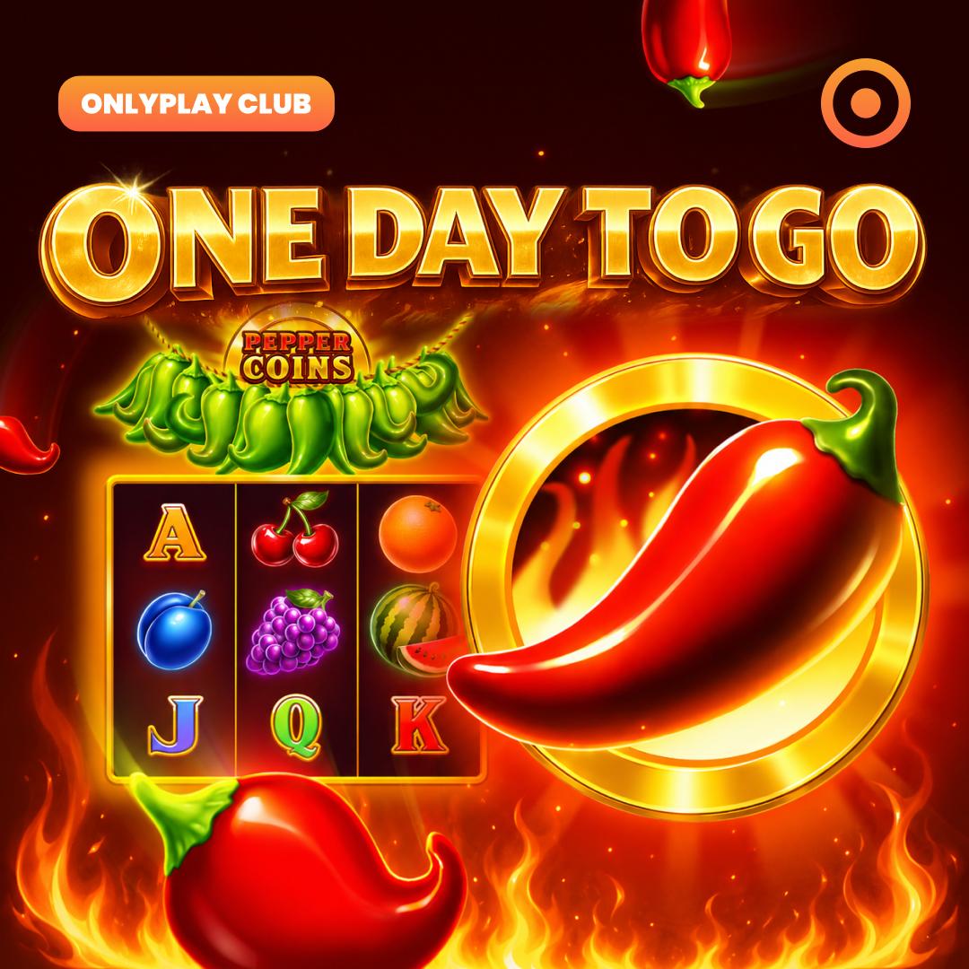 Onlyplay Club tweet media