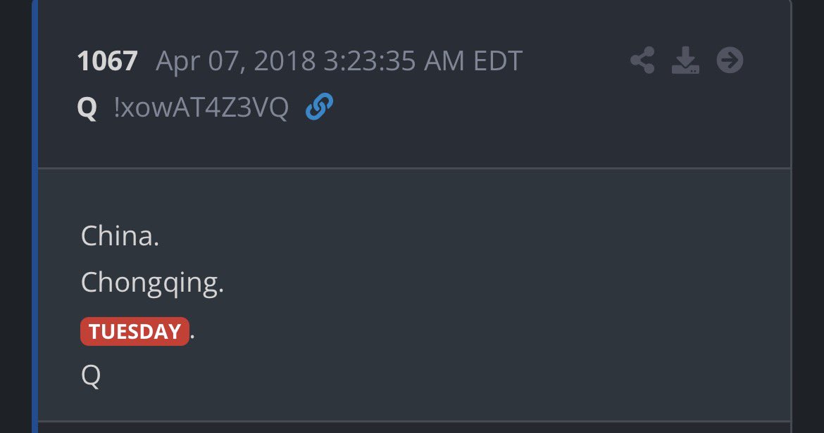 GM_Anon tweet media
