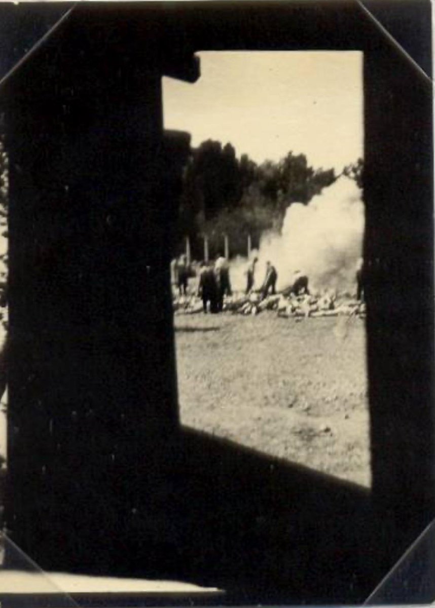 WW2 The Eastern Front tweet media