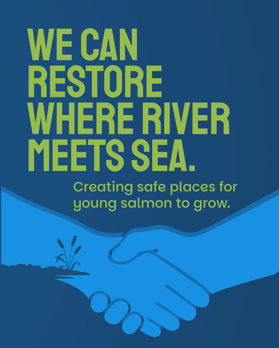 PACIFIC SALMON FOUNDATION tweet media