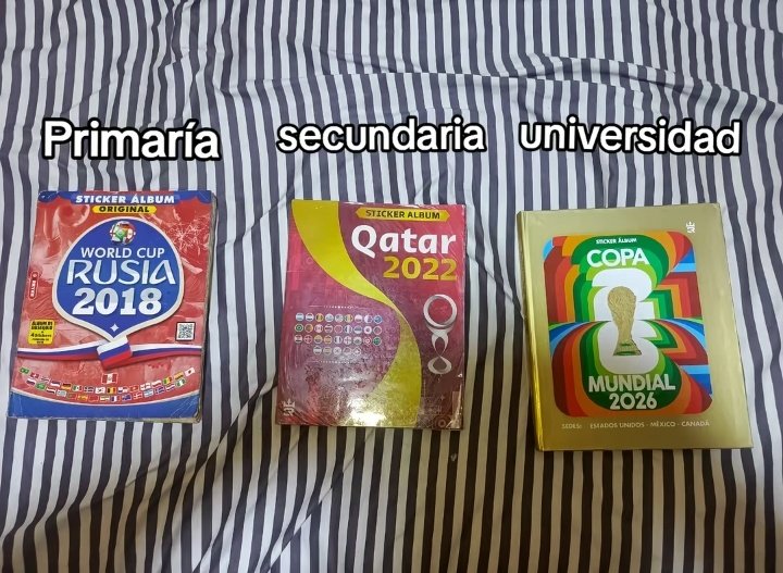 Ustedes alguna vez tuvieron un álbum que no sea de Panini?

Yo no