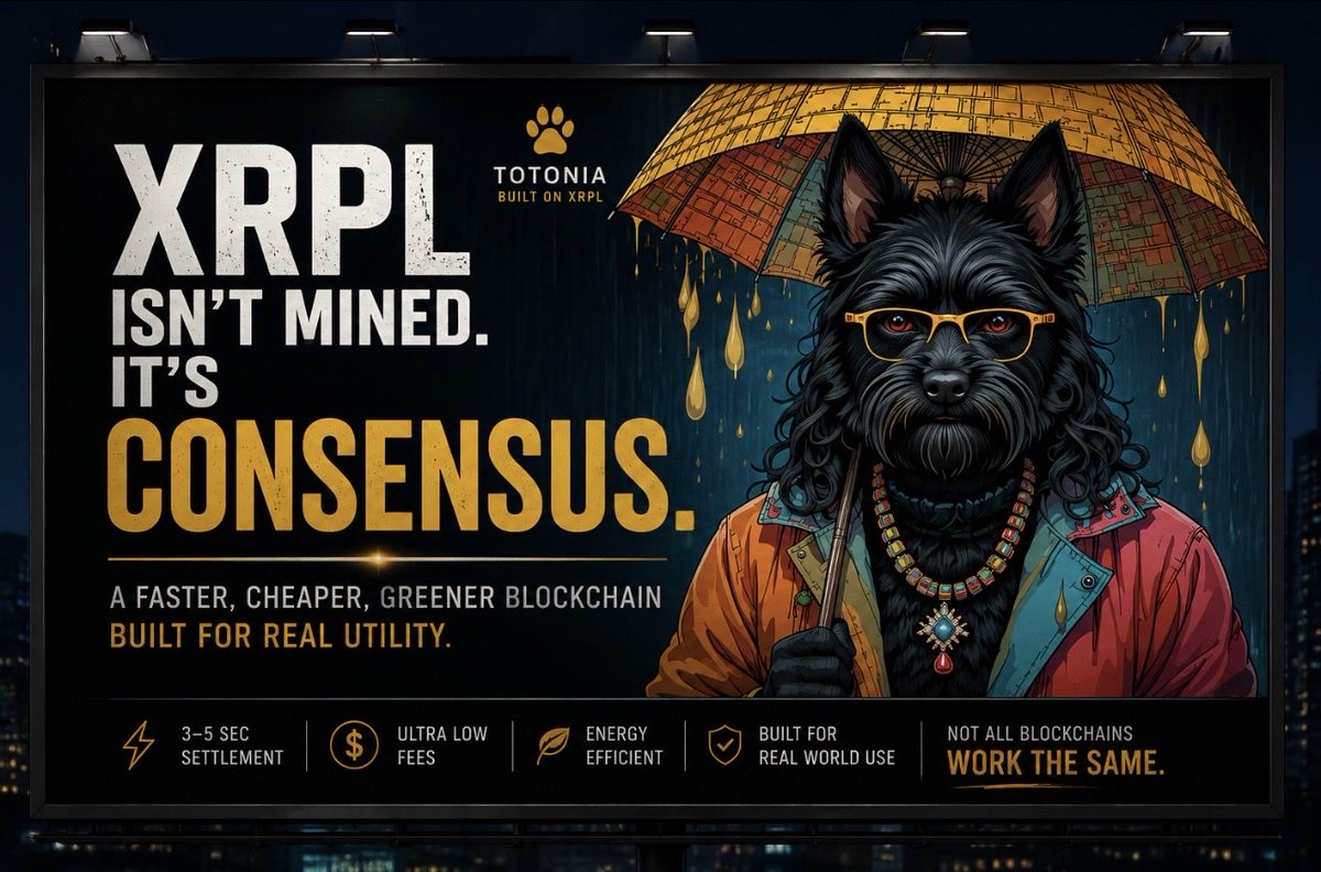 Terry Toto tweet media