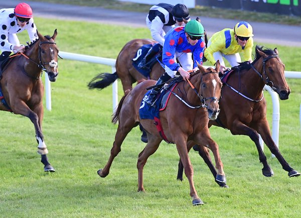 Gordon Elliott tweet media