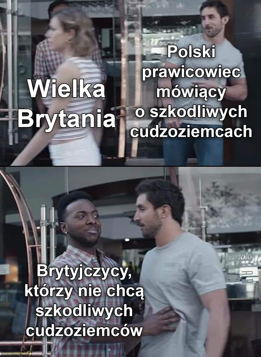Nocny Pingwin tweet media