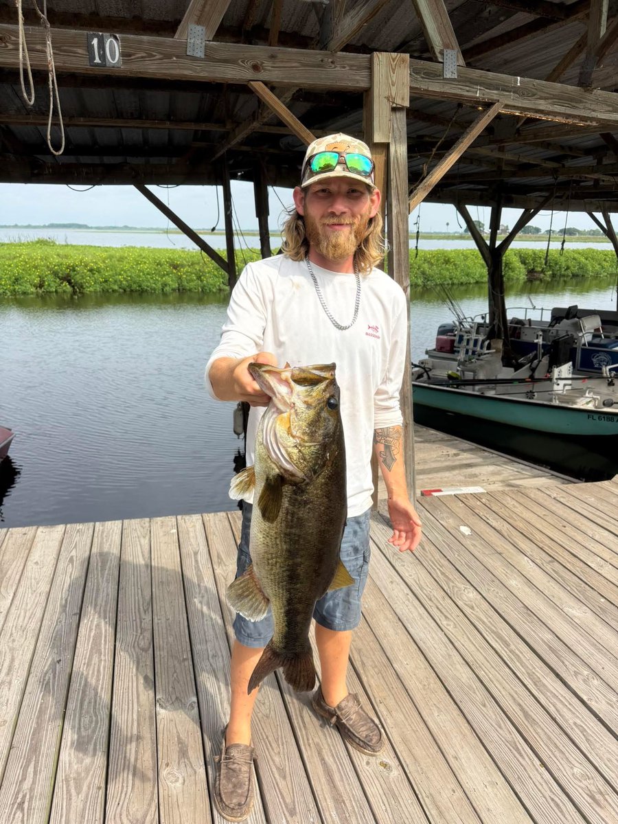 Bass Manager 🎣 tweet media