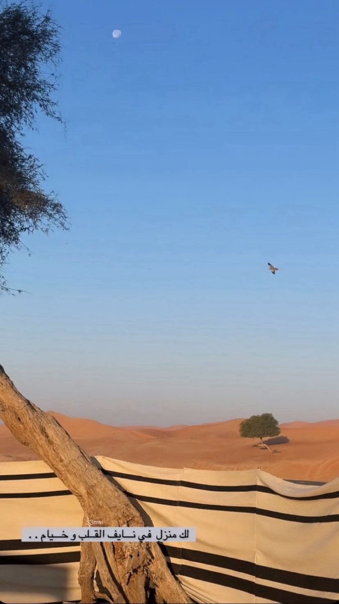 s3mvi's tweet photo. لك منزلٍ في نايفّ القلب وخيام . https://t.co/f6SstptcHQ