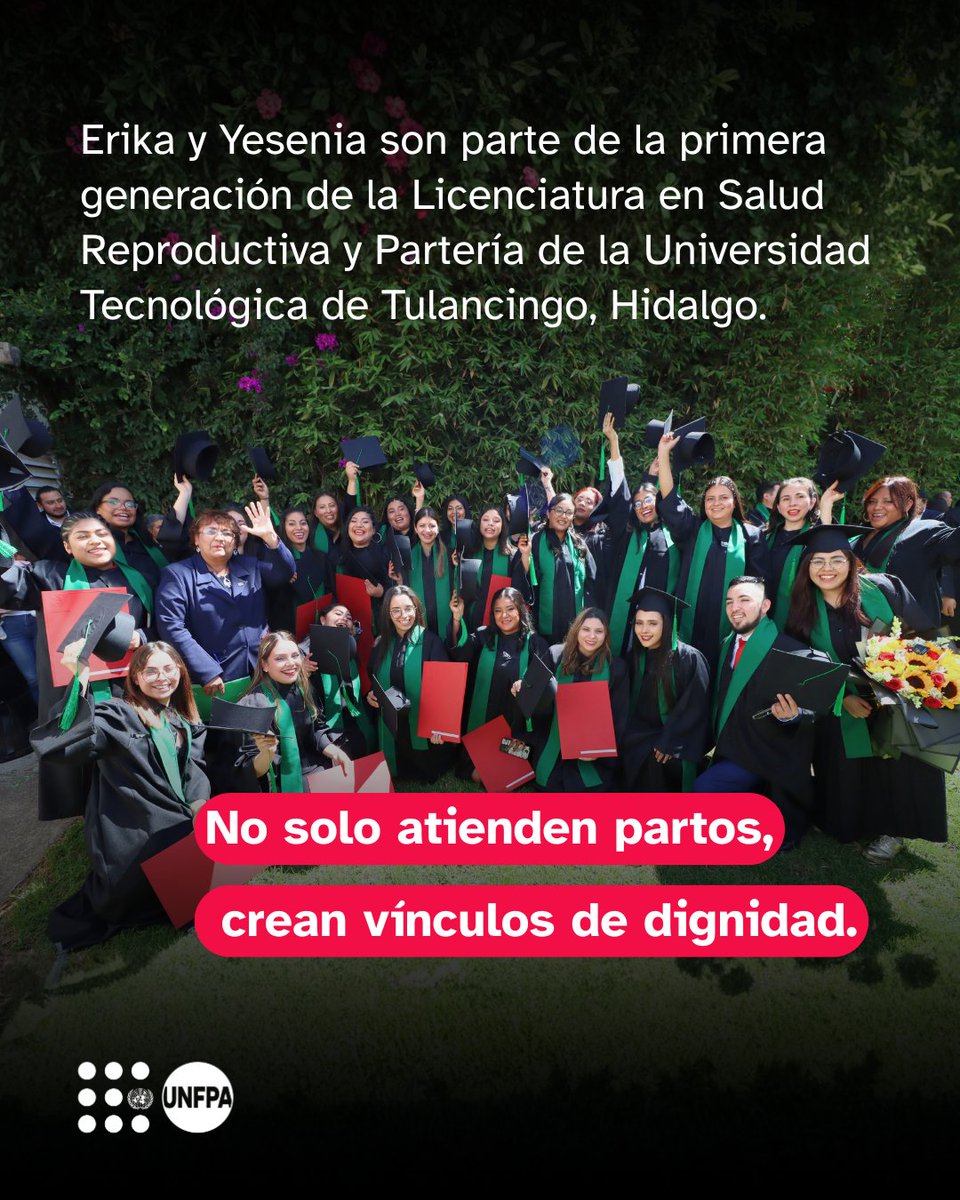 ONU México tweet media