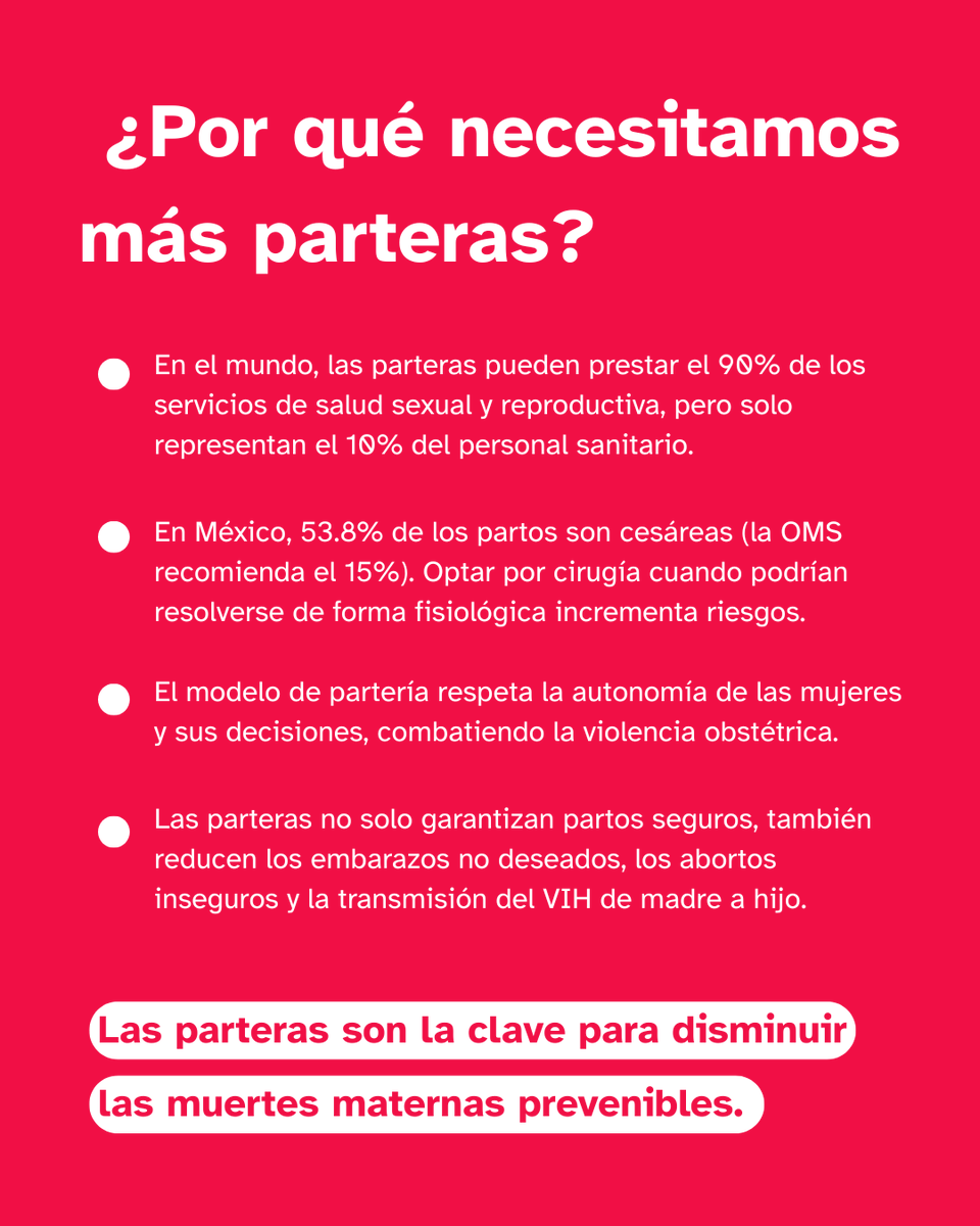 ONU México tweet media