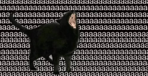 Wistful_Apothic 🐈⬛🧪 tweet media