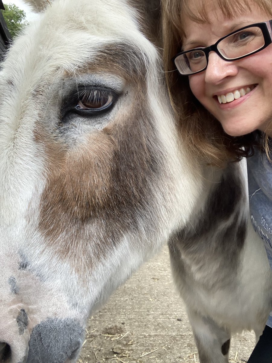 DonnieT01's tweet photo. @rickygervais Donkeys are such beautiful innocent goofballs ❤️🫏🥰 https://t.co/CB7XGVNoxg