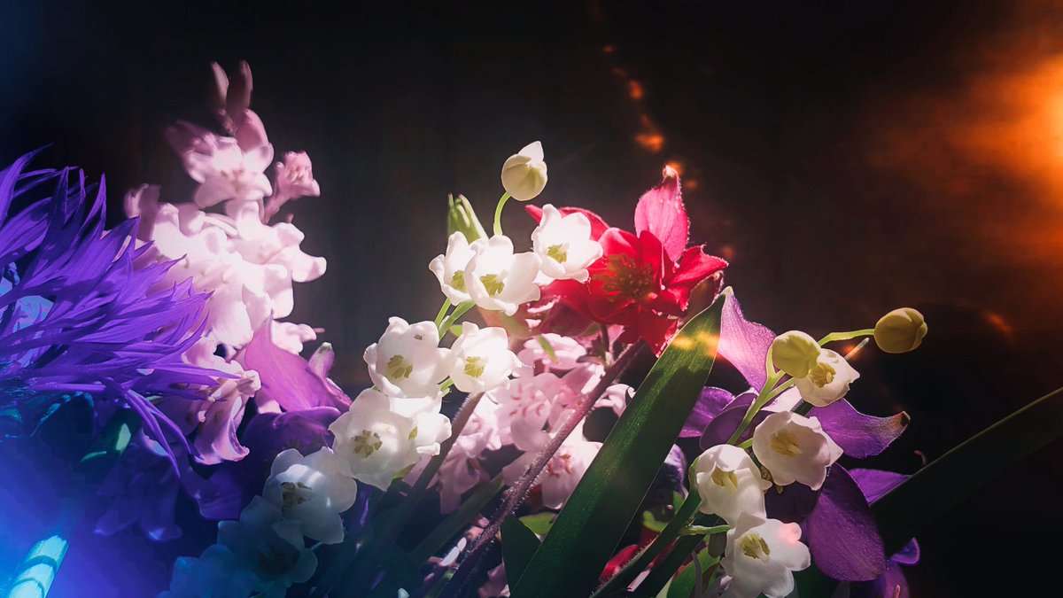 ❥ 𝙄𝙨𝙖 tweet media
