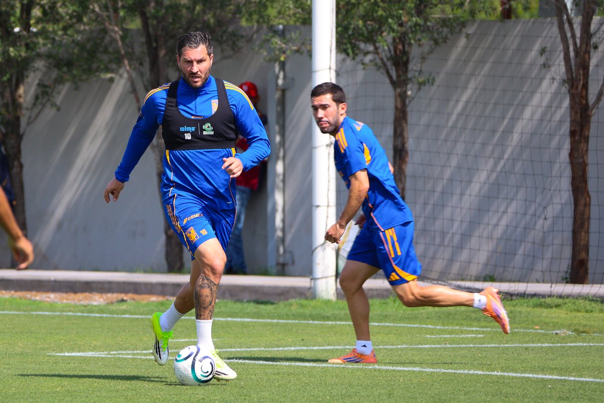 Club Tigres 🐯 tweet media