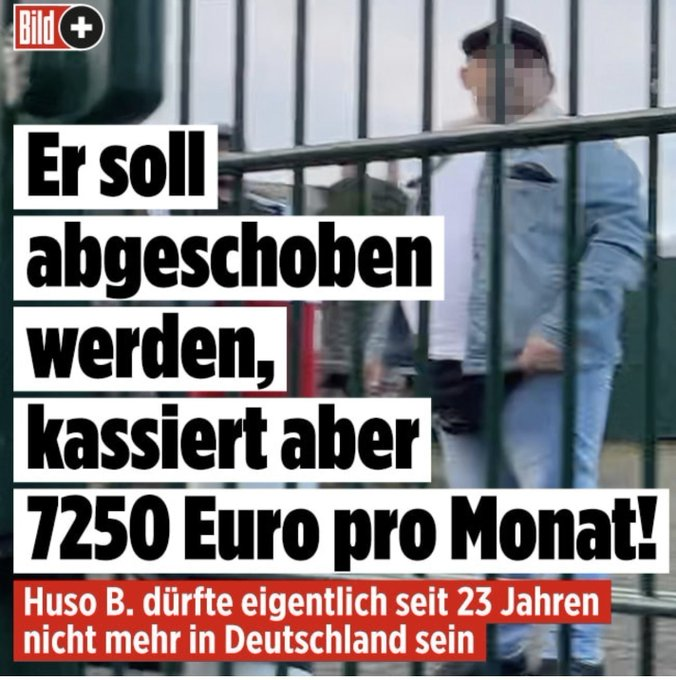 Don Delegimo tweet media