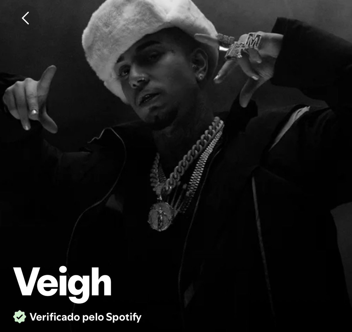 Thiago Veigh Brasil tweet media
