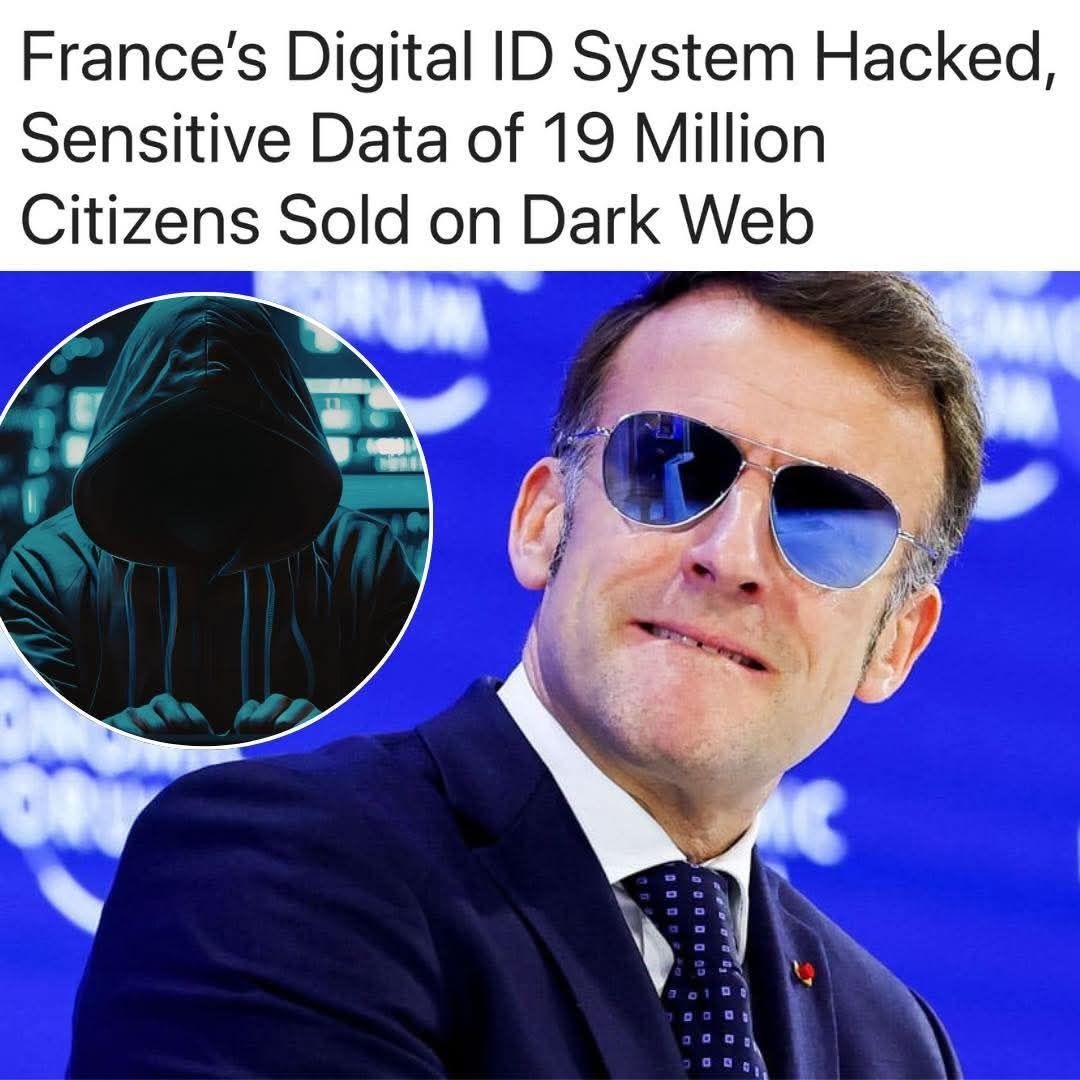 sudox tweet media