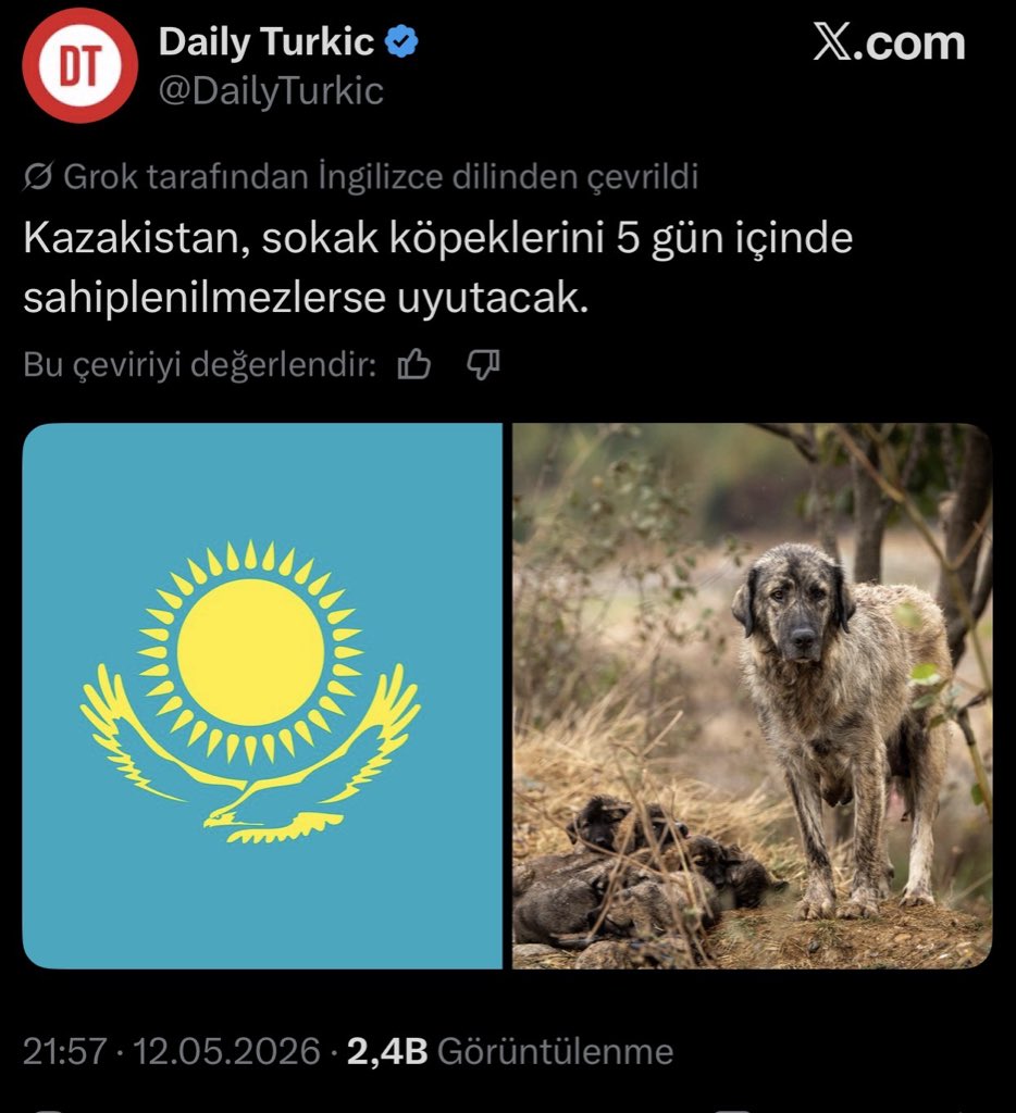 Av.Arb.ASLIHAN ERGÜN ERCAN ⚖️ tweet media