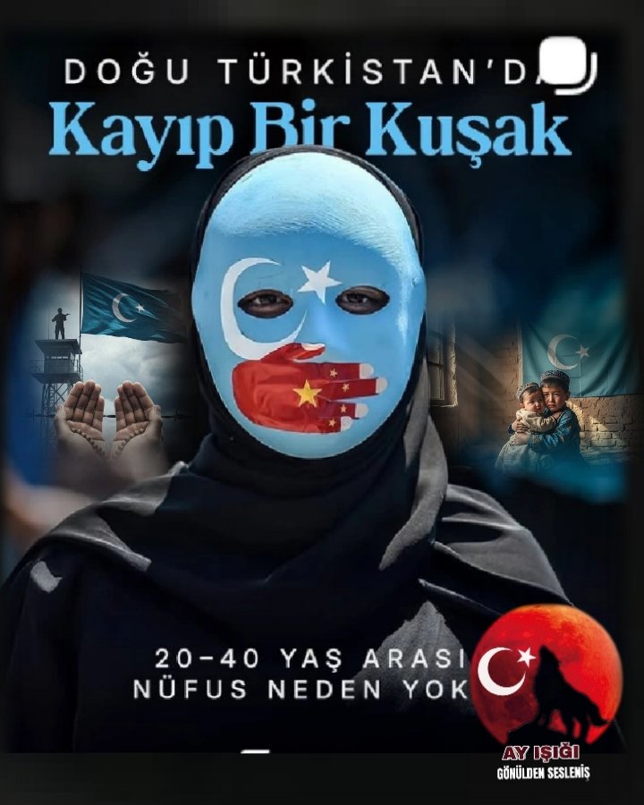 Refik Ay tweet media