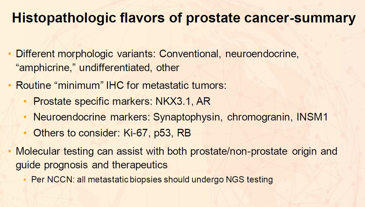 Janiranavarro's tweet photo. Routine minimum IHC for metastatic tumors - prostate cancer

- Prostate markers: NKX3.1, AR
- Neuroendocrine markers: Synaptophysin, chromogranin, and INSM1
- Others to consider: Ki67, p53, RB

Per NCCN, all metastatic biopsies should undergo NGS testing.

Dr. Chan #USCAP2026 #pathology #PathX #PathTwitter