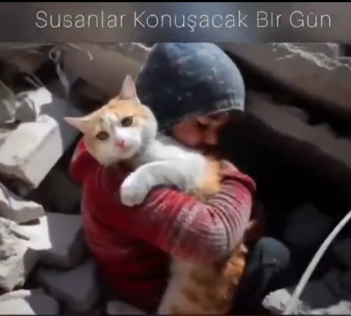 gakgose_23's tweet photo. "Dost vefasız, dünya acımasız, dönem huzursuz, dert çok, 
dert paylaşan yok, düşman güçlü, talih esir !" 🥀

#GazzedeSoykırımDevamEdiyor
#GazzeyiUnutma 
#BoykotaDevam
#Teröristİsrail https://t.co/ZOXwne1cKn