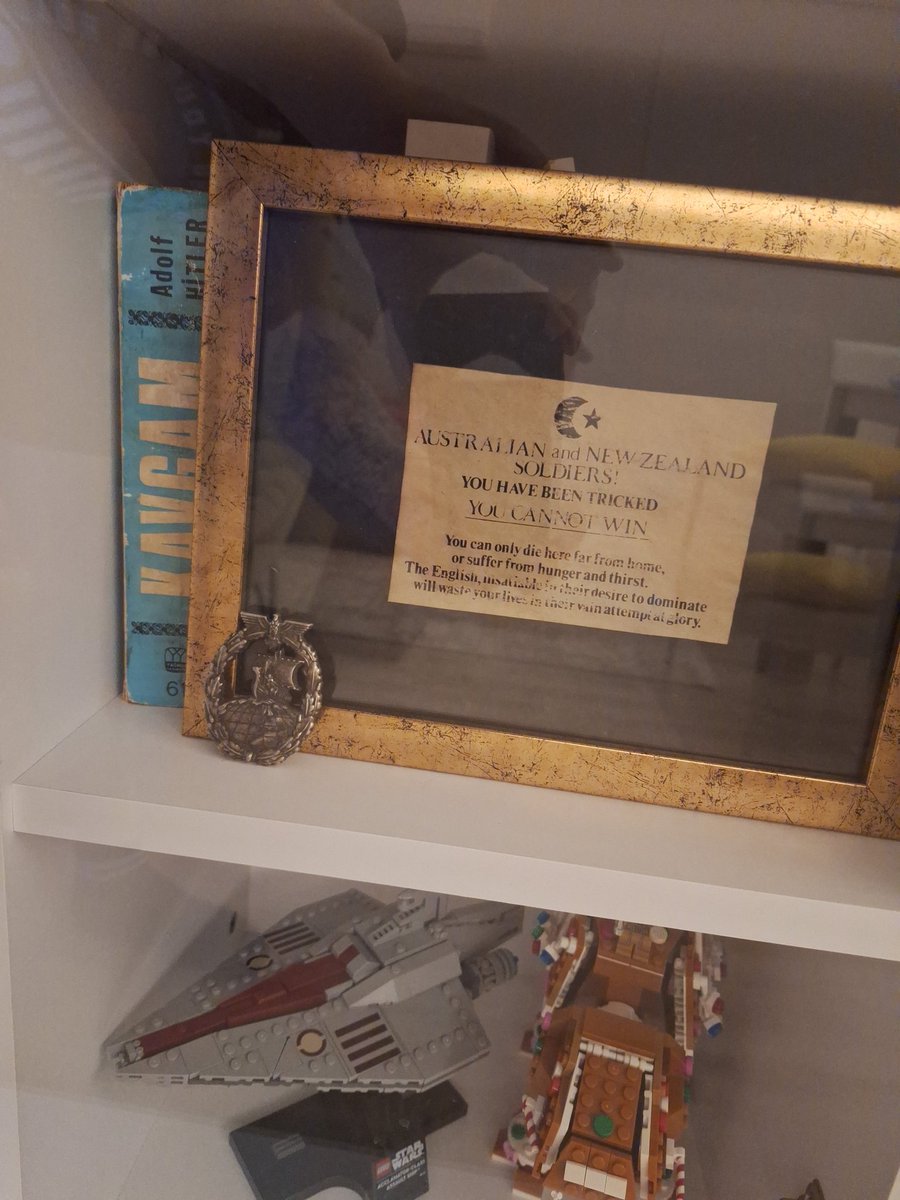 Oğuz tweet media
