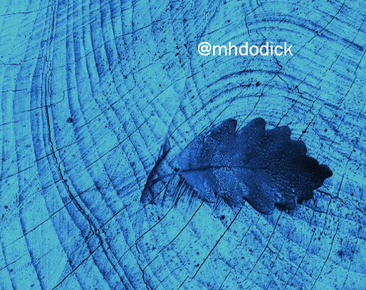 mhdodick consulting tweet media