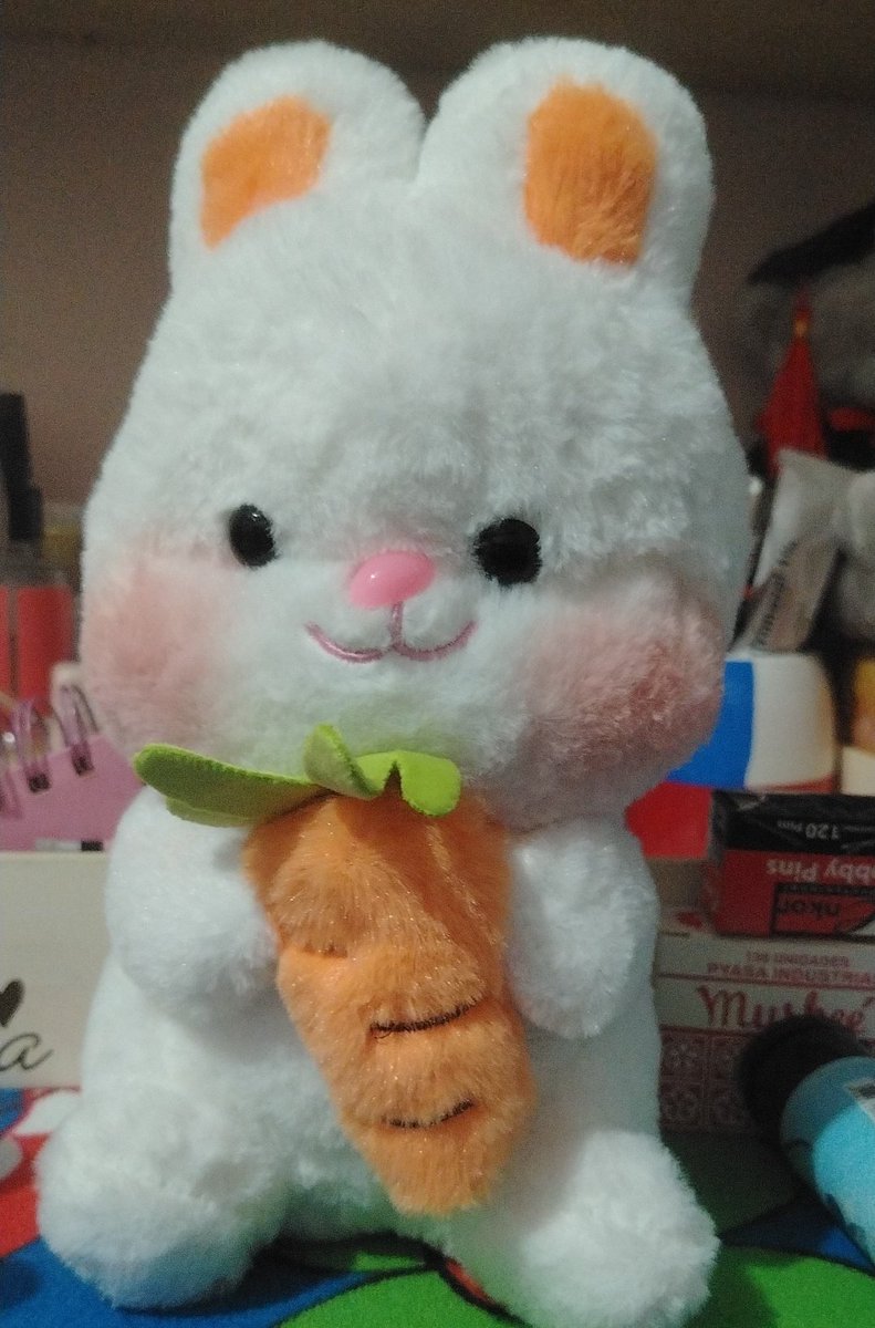 ℒeli ૮(. . ა)。 tweet media