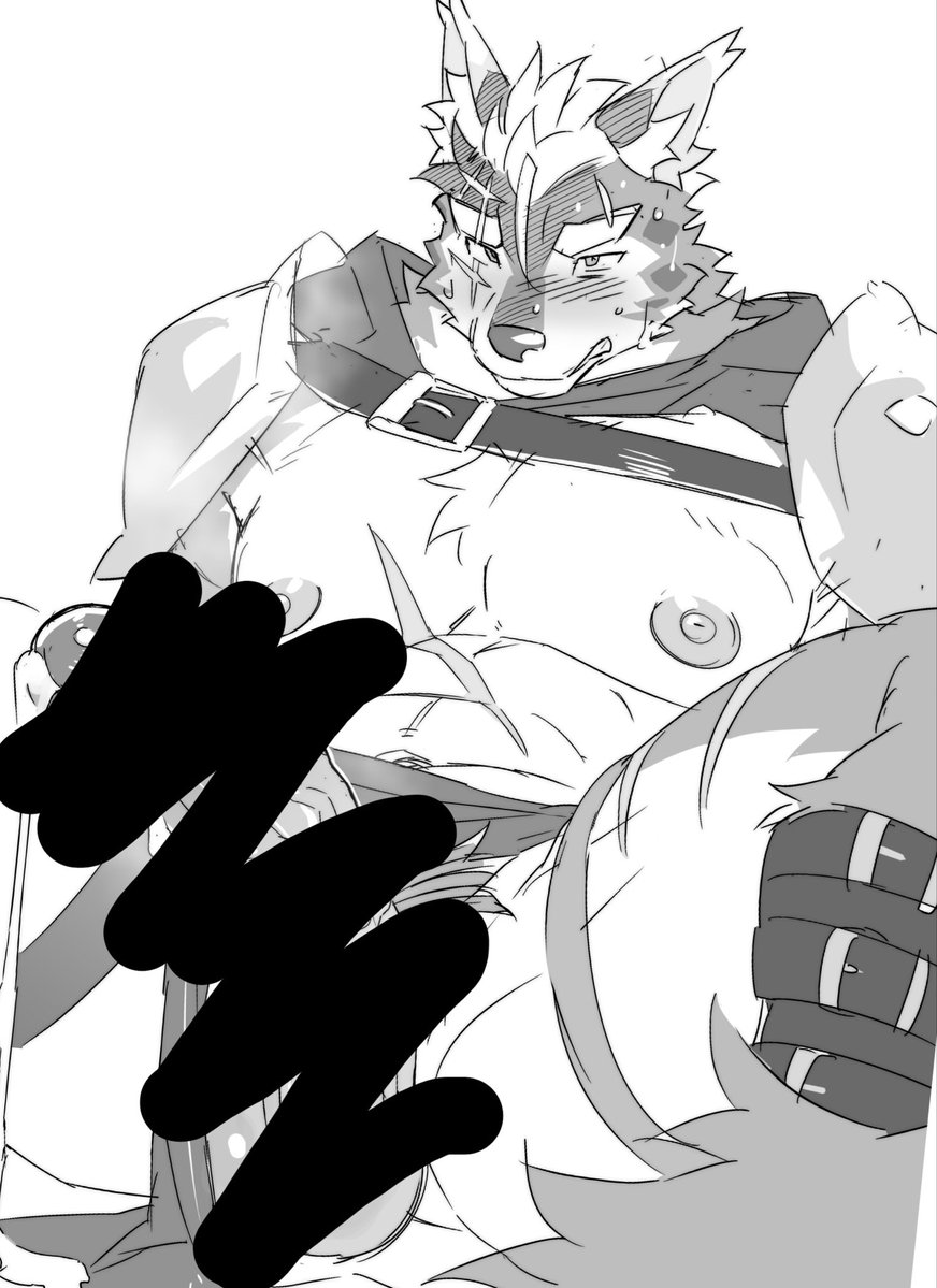 犬束　あおい🔜？ tweet media
