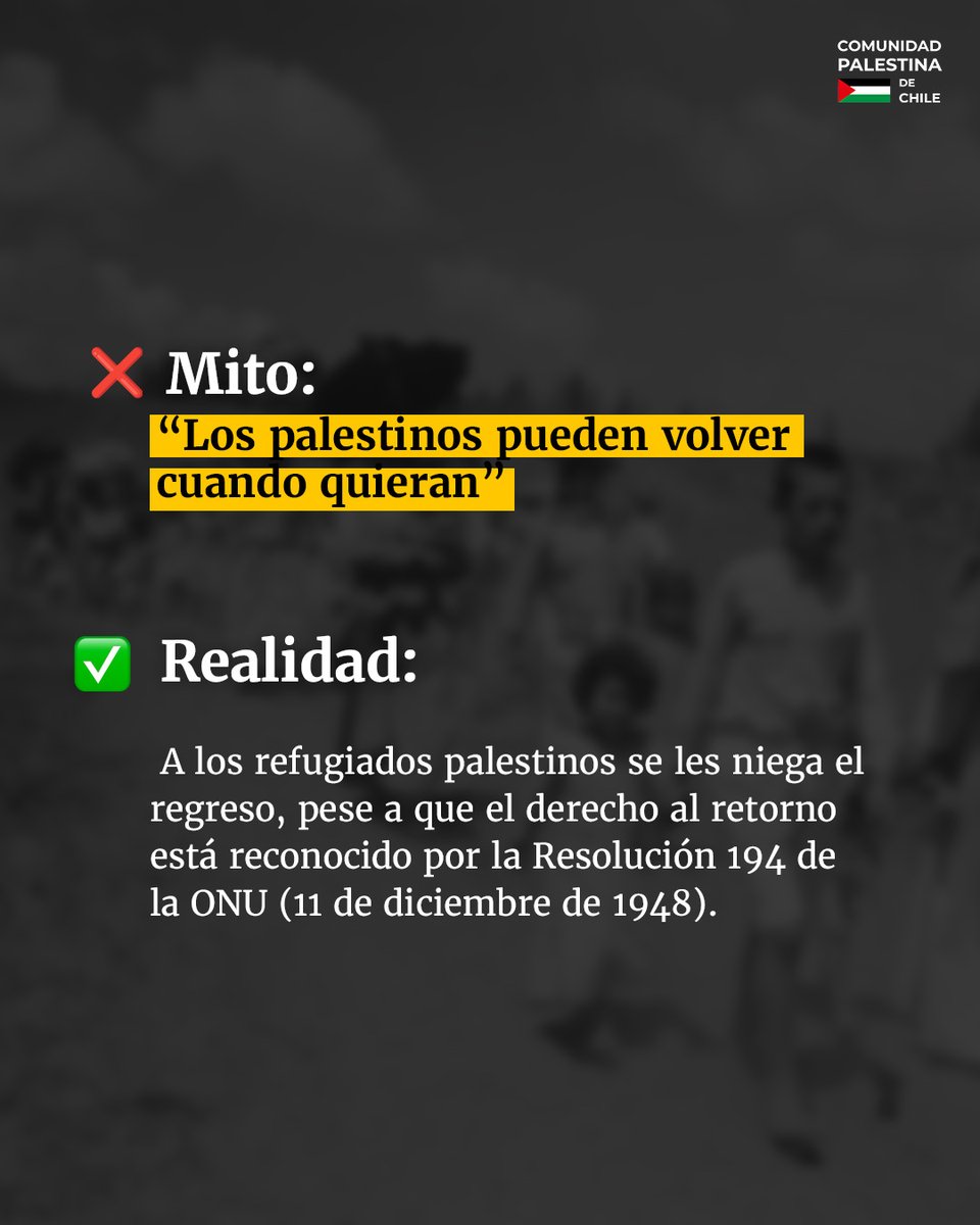 Comunidad Palestina de Chile tweet media