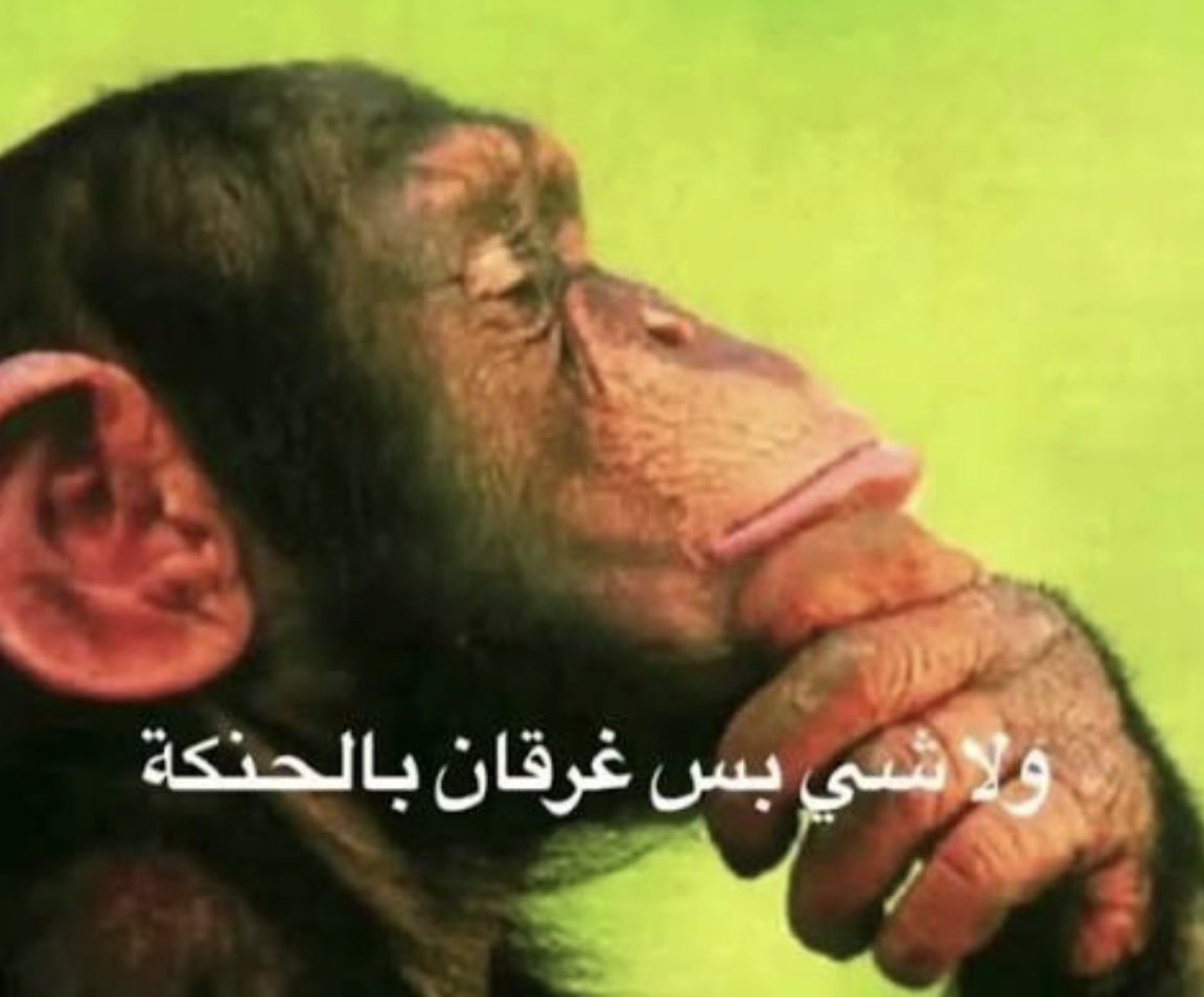 بلانكو 🇸🇦 tweet media