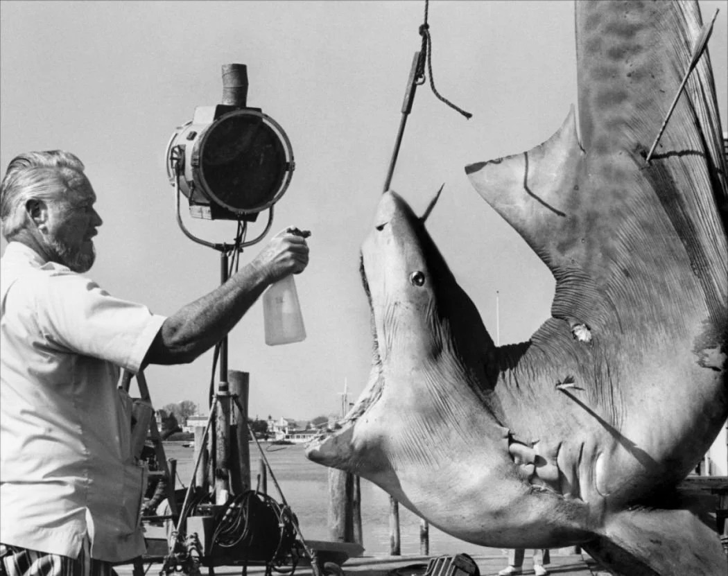 The Daily Jaws tweet media