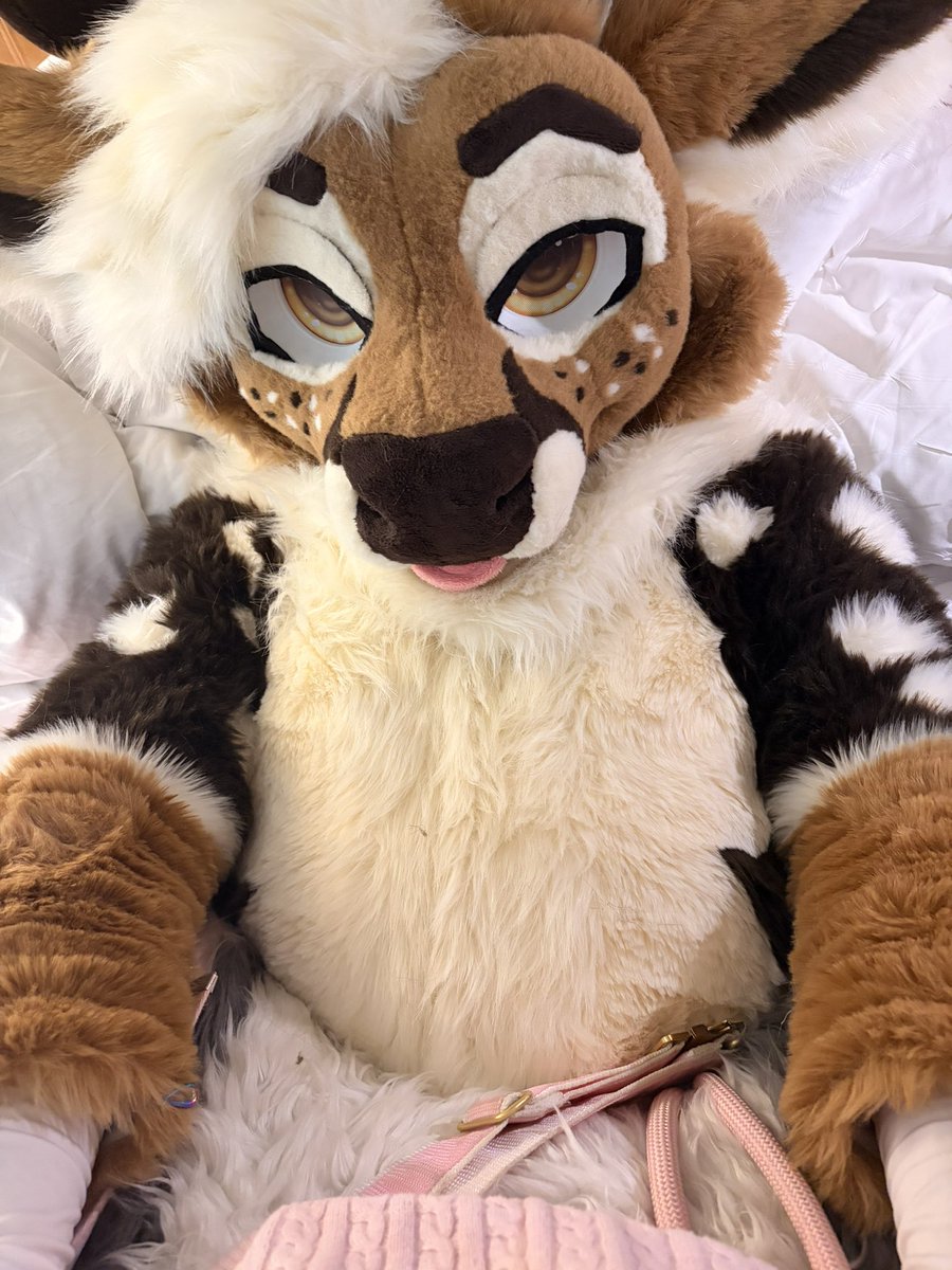 MarbleDog @ AO tweet media