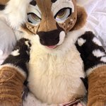 Photo by MarbleDog 🔜 MFF (@PinkMarbleDog)