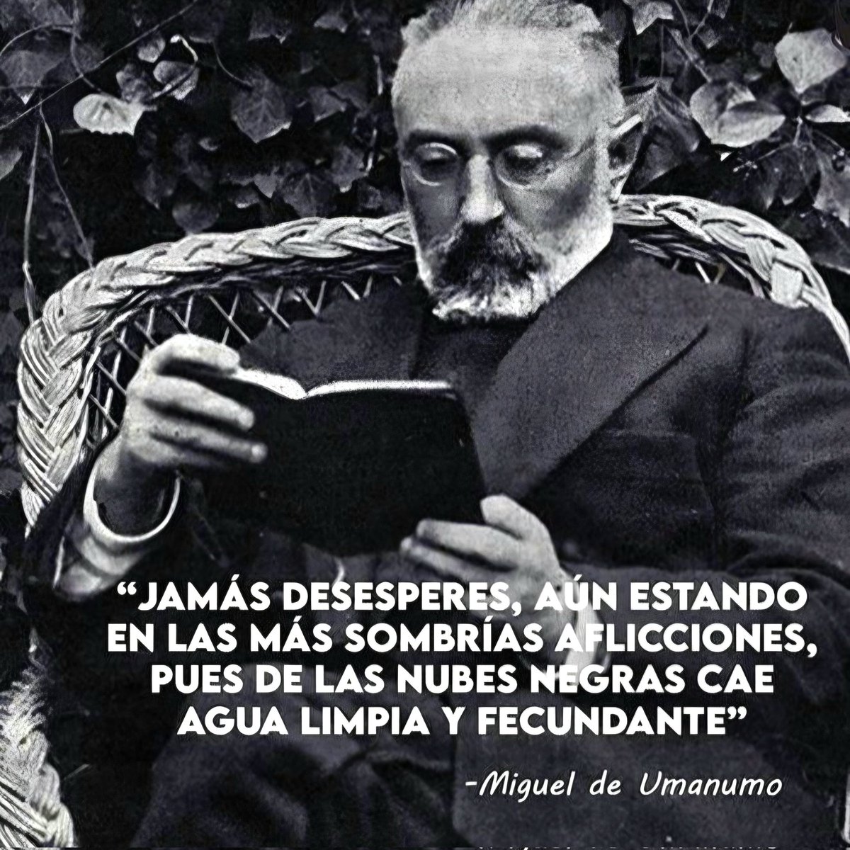 🦉 Filósofo Nocturno tweet media