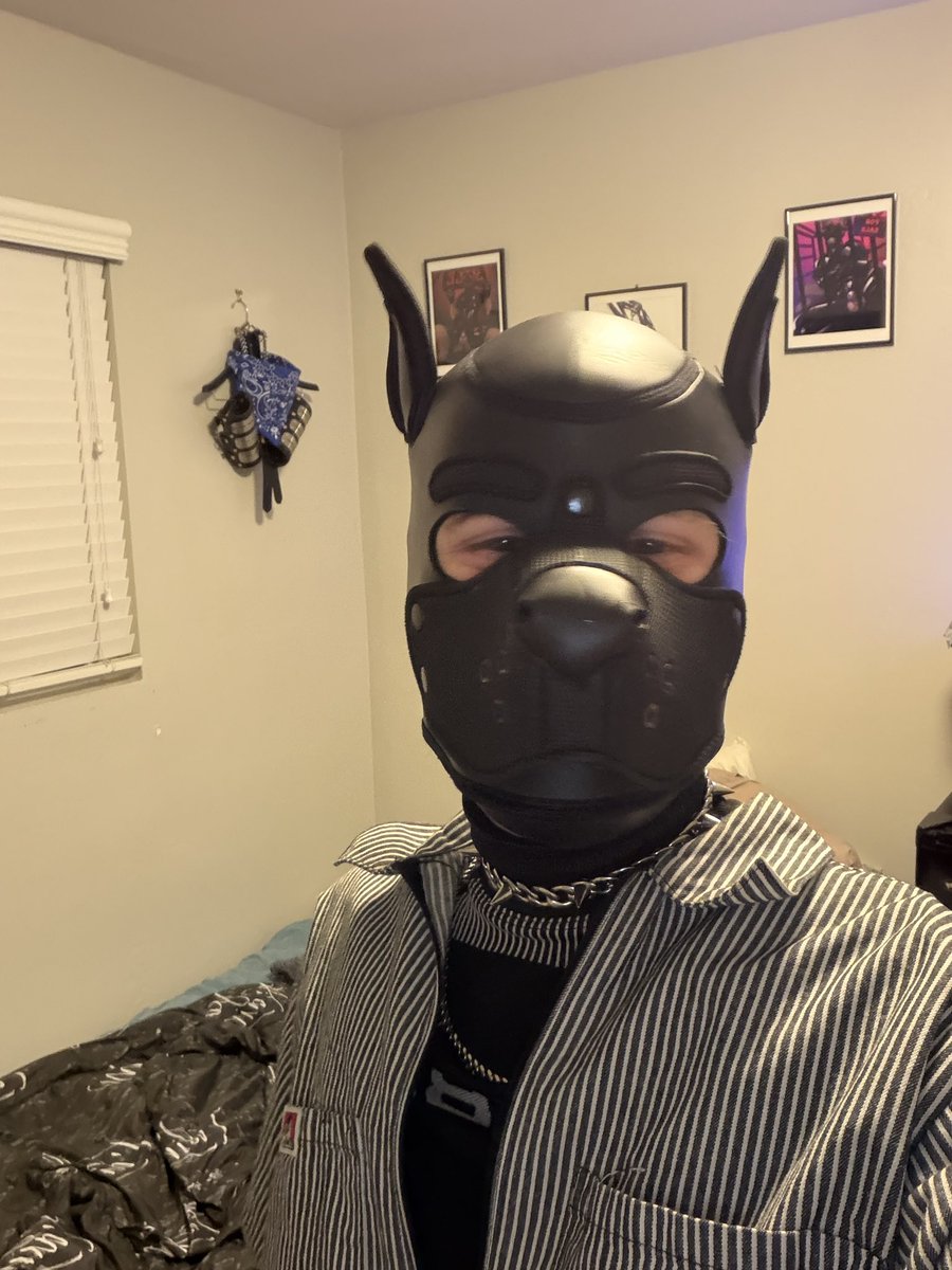 druuuling's tweet photo. arf 🤪😈 https://t.co/KlJbqvN428
