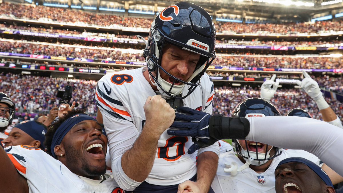BearsMuse tweet media