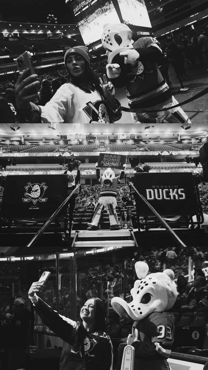 WildWingANA's tweet photo. vegas is gonna flock around and find out. see you at the watch party tonight!

📸: @SpaceRangerRay https://t.co/6O1dOjFIIW
