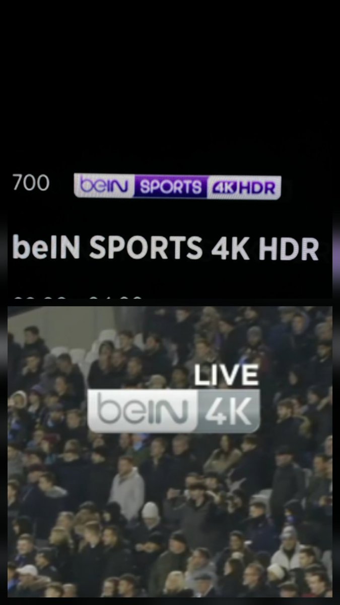 محمد توتنهام | spurs tweet media