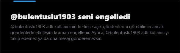 Sergenin Askerleri tweet media