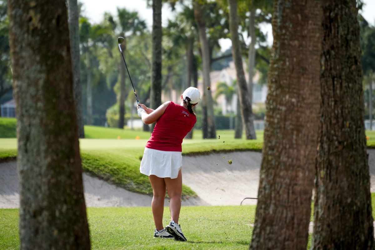 NCAA Division II tweet media