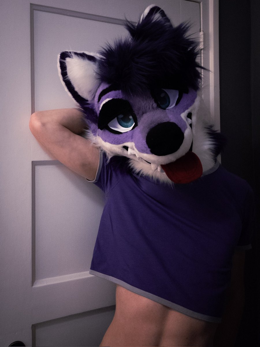Polar 💜 tweet media