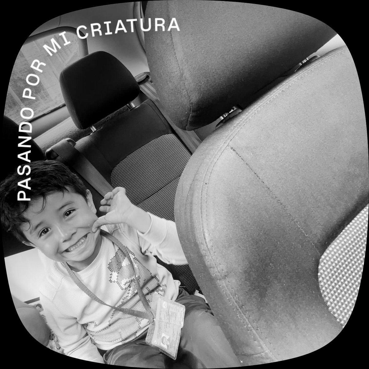 tapioca tweet media