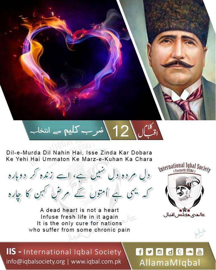 Abu Ali Muhammad Sharjeel tweet media